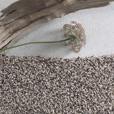Phenix Carpet