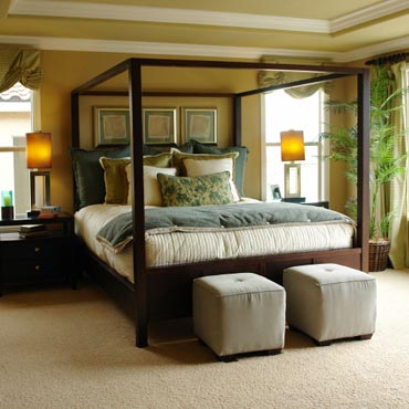 STAINMASTER® Carpet